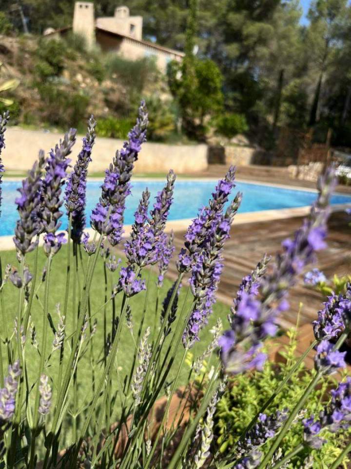 Aménagement de jardin Le Castellet