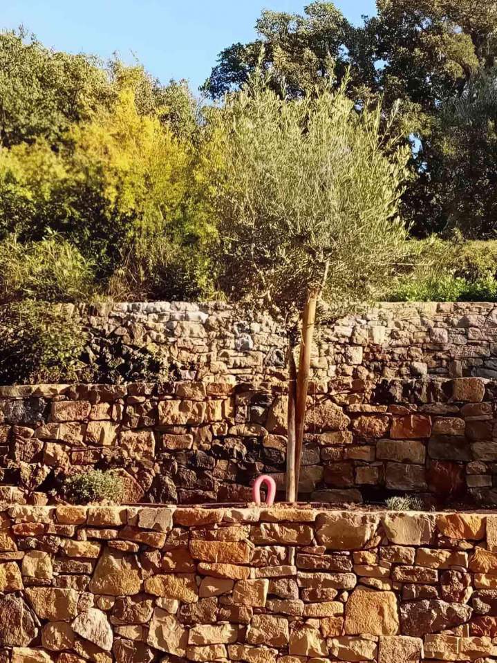 Murs en pierres Le Castellet