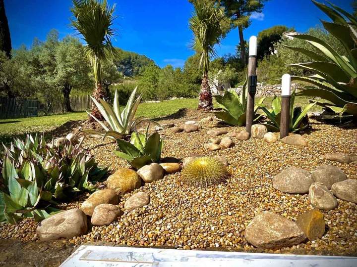 Votre professionnel en création et entretien de jardin