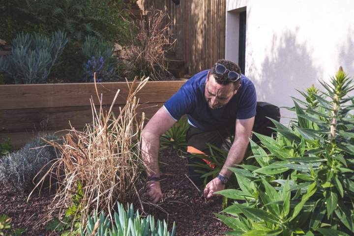 Travaux de jardinage Le Castellet