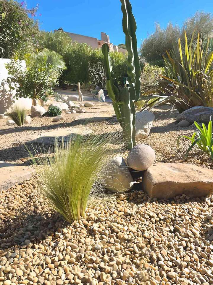 Entretien jardin Le Castellet