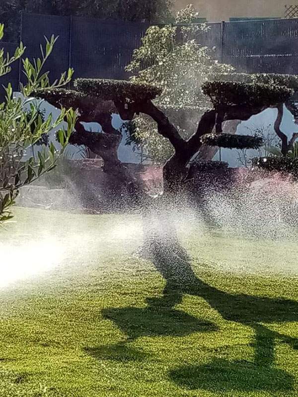 Pose arrosage automatique Le Castellet
