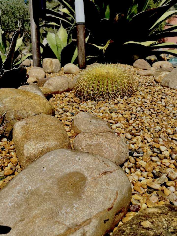 Aménagement paysager Le Castellet