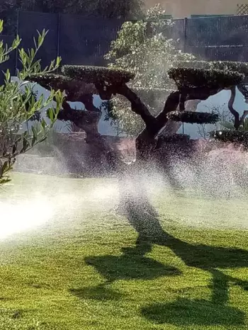 Pour un jardin sain et verdoyant toute l’année