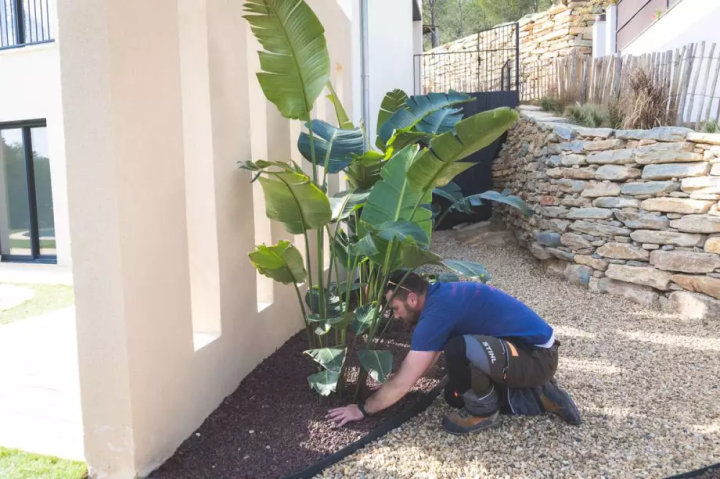Votre professionnel en création et entretien de jardin