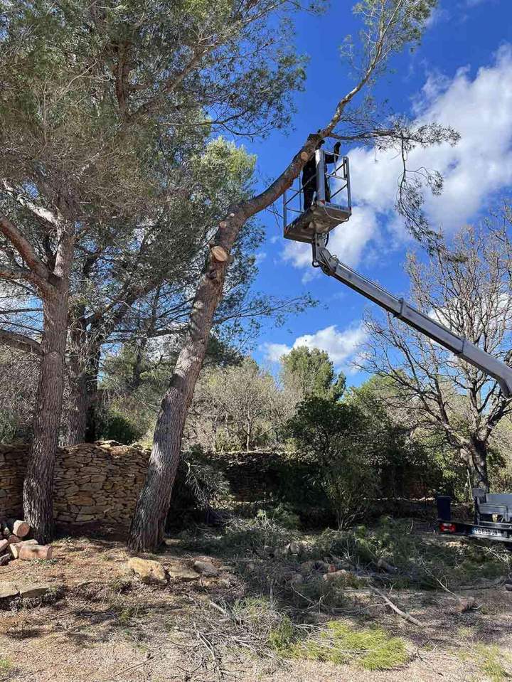 Réhabilitation espace vert Le Castellet